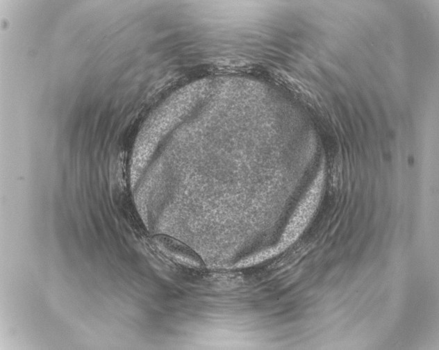 X0000088181346200706051131