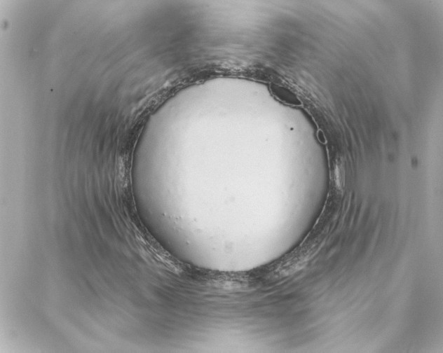 X0000088181347200706051131