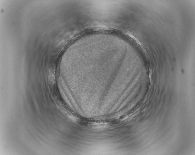 X0000088181348200706051131