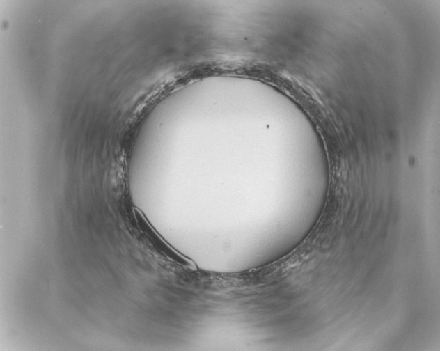 X0000088181349200706051131