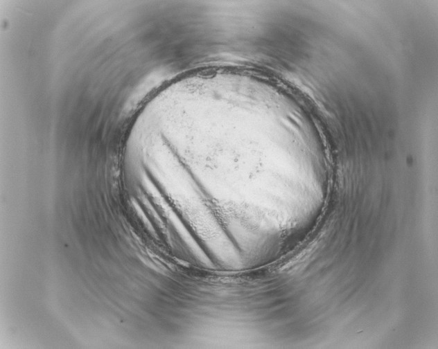 X0000088181355200706051131