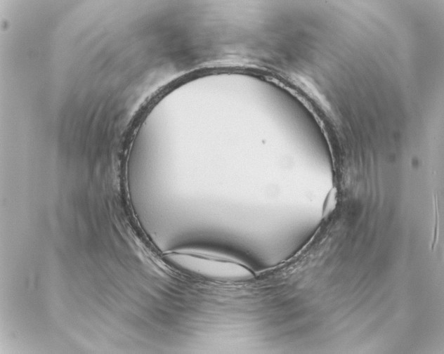 X0000088181356200706051131