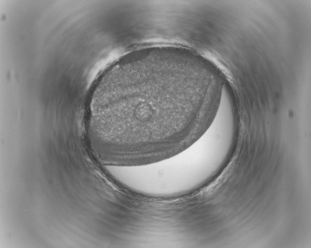 X0000088181357200706051131