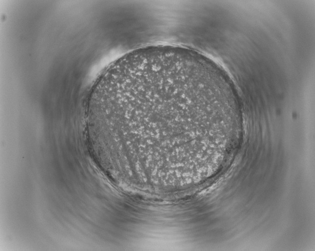 X0000088181359200706051131