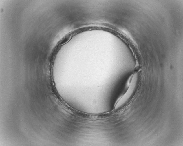 X0000088181360200706051131