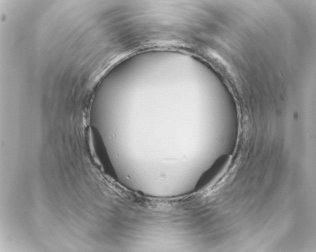 X0000088181361200706051131