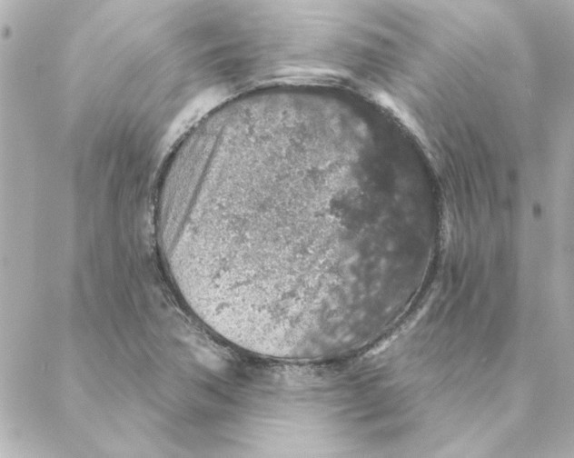 X0000088181362200706051131