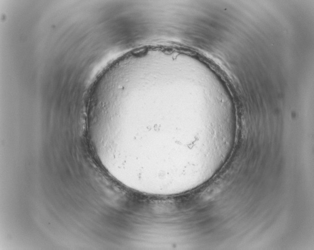 X0000088181363200706051131