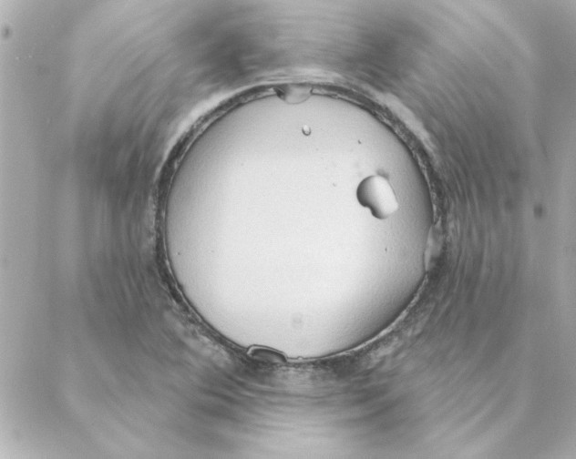 X0000088181364200706051131