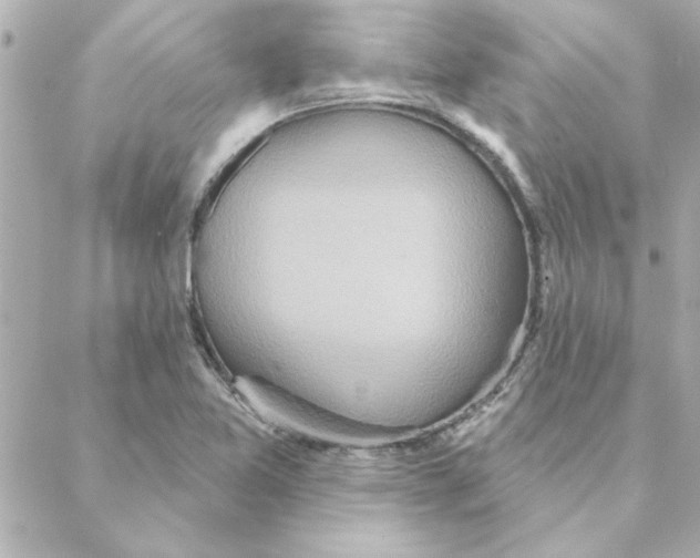 X0000088181365200706051131