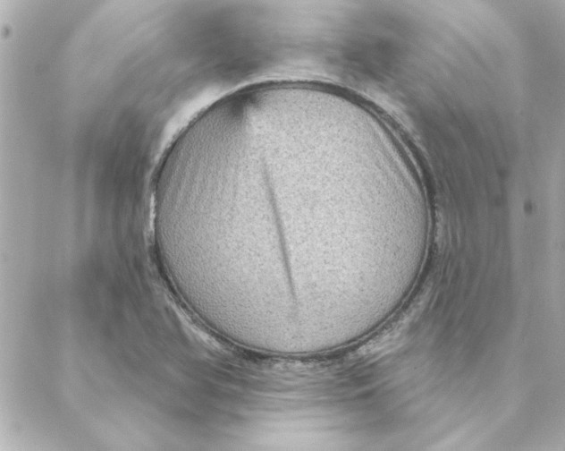 X0000088181366200706051131