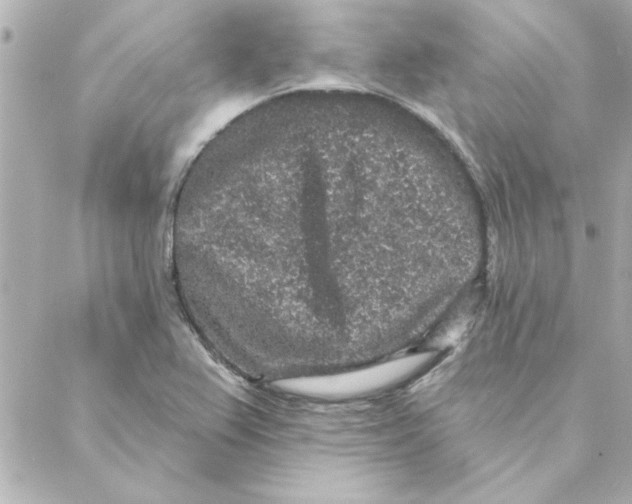 X0000088181367200706051131