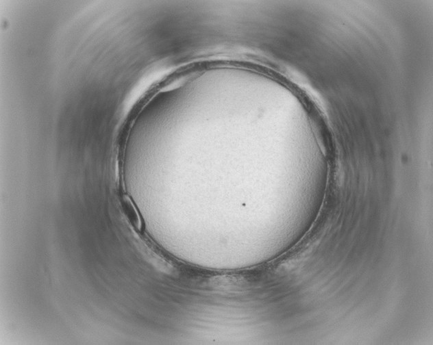 X0000088181368200706051131