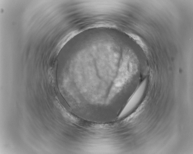 X0000088181369200706051131