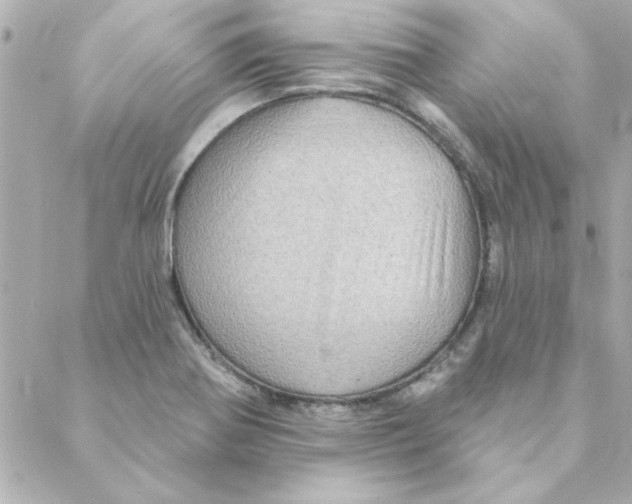 X0000088181370200706051131