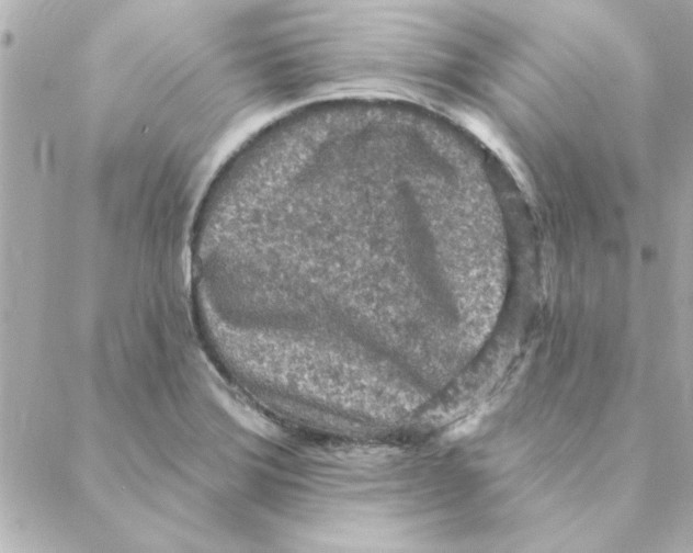 X0000088181372200706051131