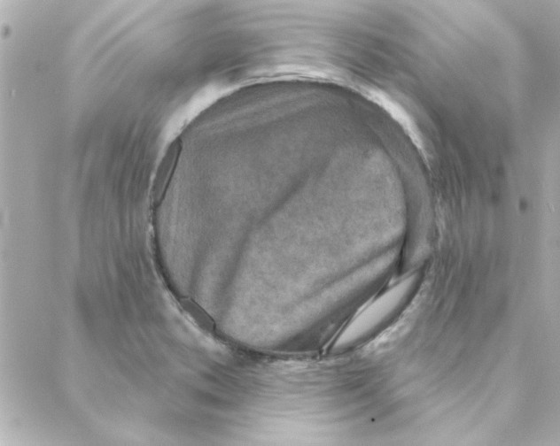 X0000088181373200706051131