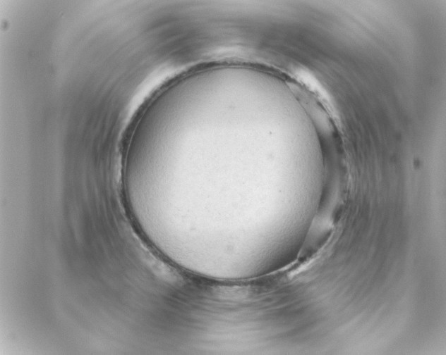 X0000088181376200706051131