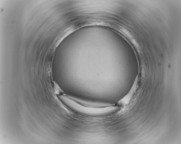 X0000088181377200706051131