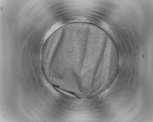 X0000088181378200706051131