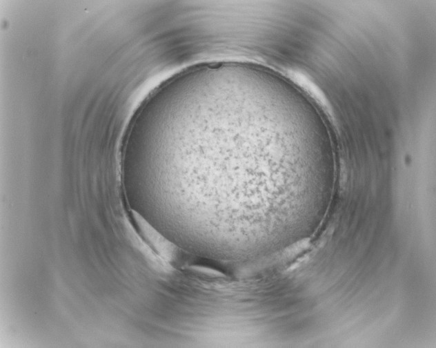 X0000088181380200706051131