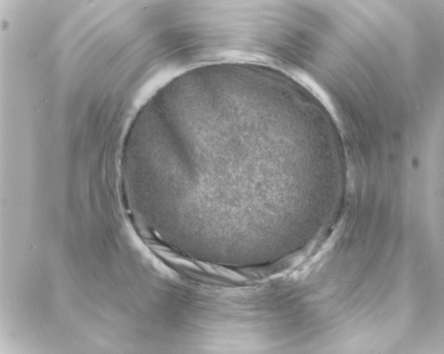 X0000088181381200706051131