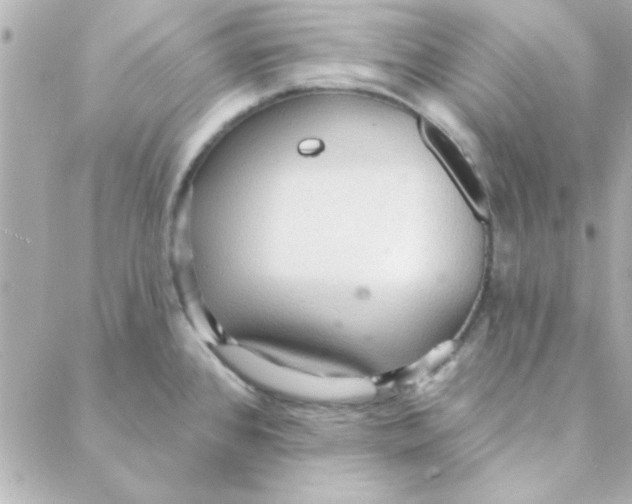 X0000088181384200706051131