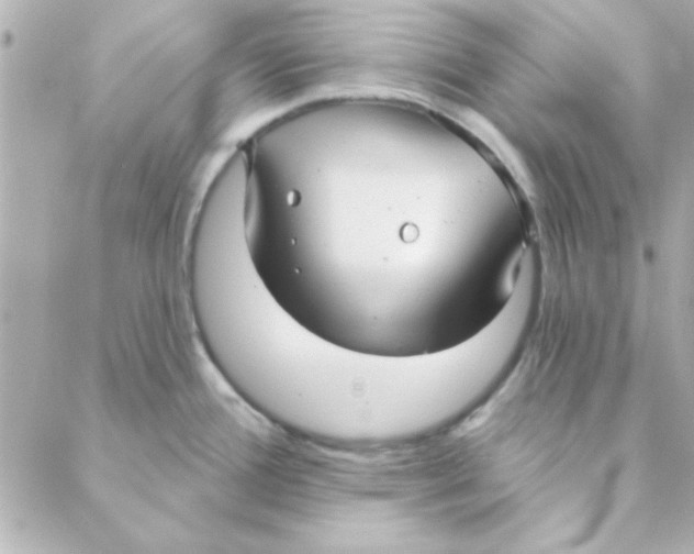 X0000088181388200706051131