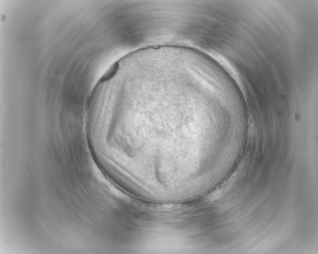 X0000088181390200706051131