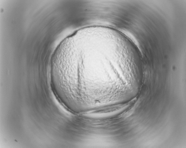 X0000088181391200706051130