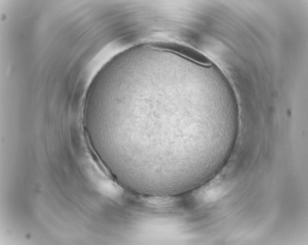 X0000088181392200706051130