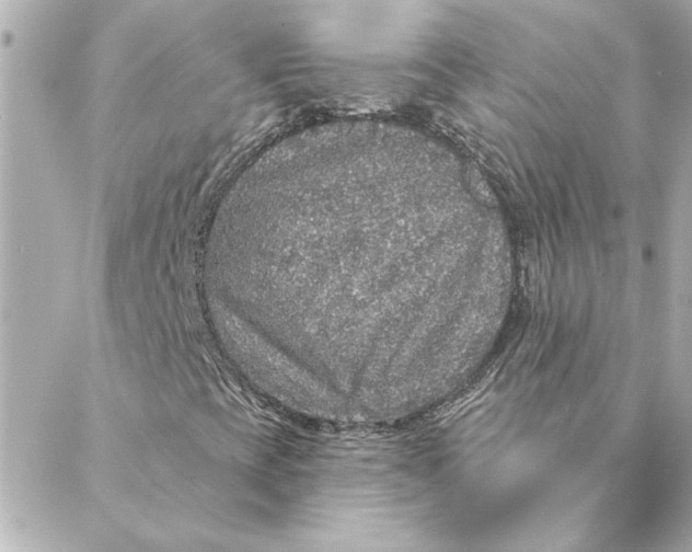 X0000088181393200706051130