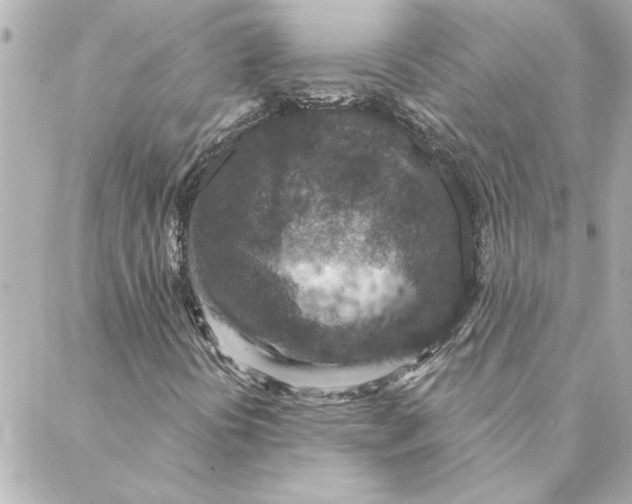 X0000088181394200706051130