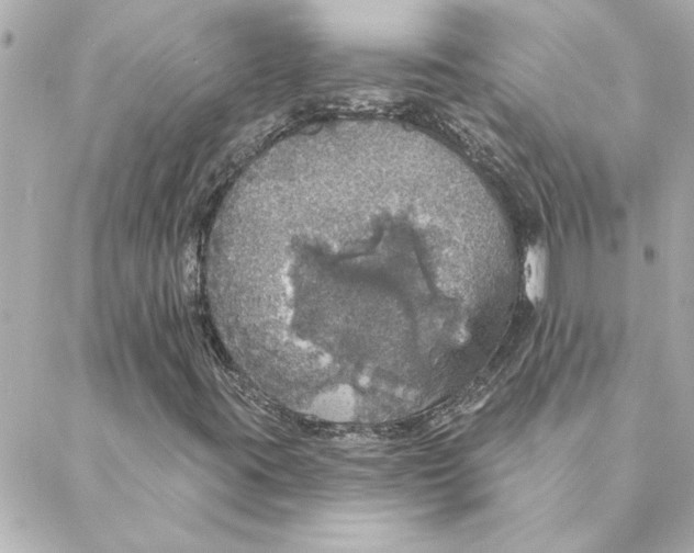 X0000088181395200706051130