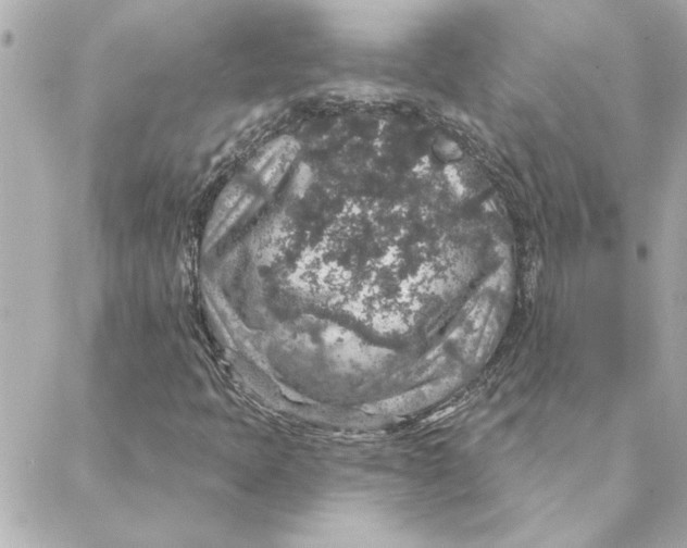 X0000088181397200706051130