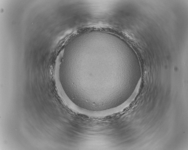 X0000088181398200706051130