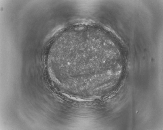 X0000088181399200706051130