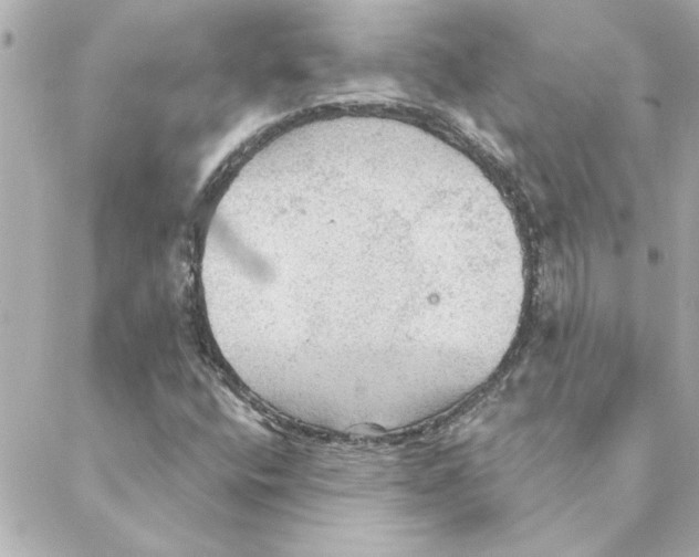 X0000088181400200706051130