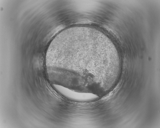 X0000088181401200706051130