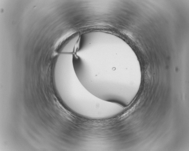 X0000088181402200706051130