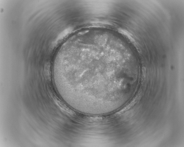 X0000088181403200706051130