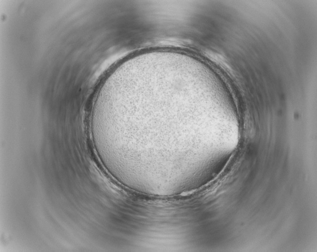 X0000088181404200706051130