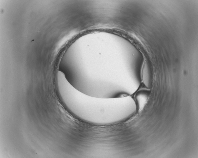 X0000088181406200706051130