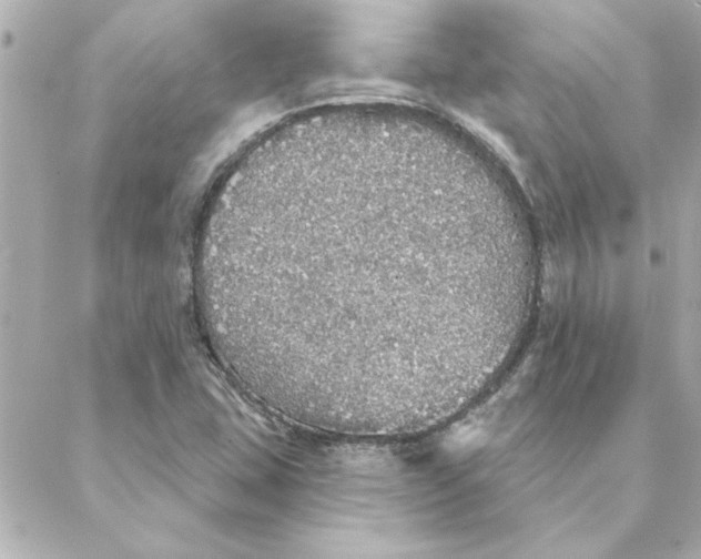 X0000088181407200706051130