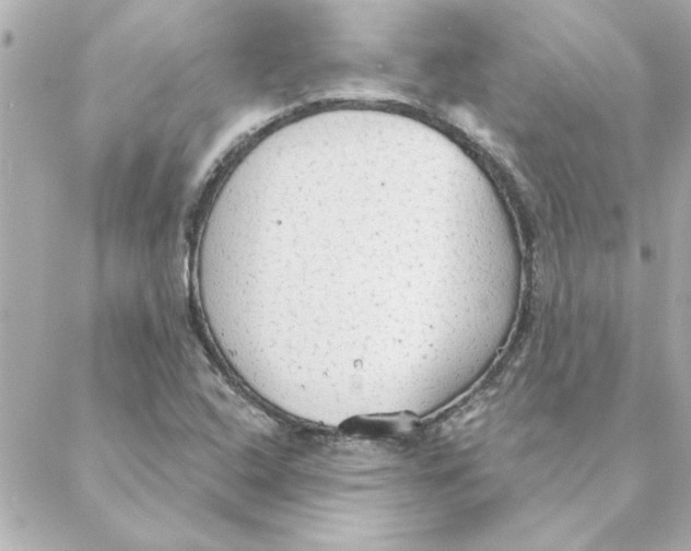 X0000088181408200706051130