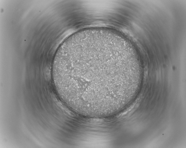 X0000088181409200706051130