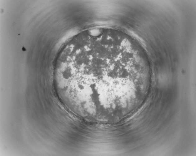 X0000088181411200706051130