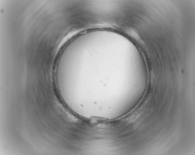 X0000088181412200706051130