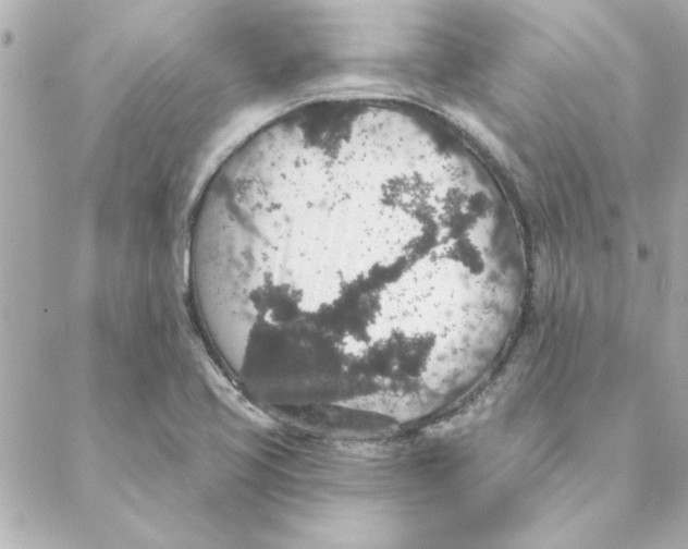 X0000088181413200706051130