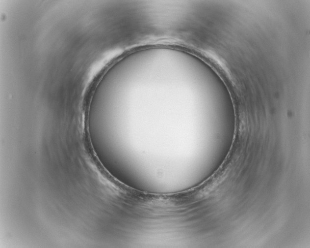 X0000088181414200706051130